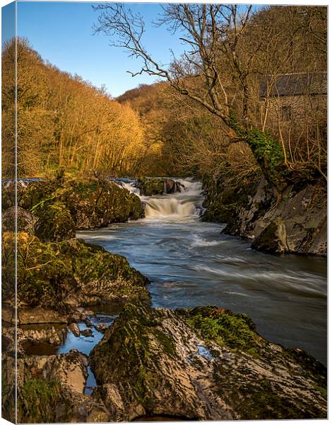 Cenarth Falls, Carmarthenshire, Wales, UK Canvas Print by Mark Llewellyn