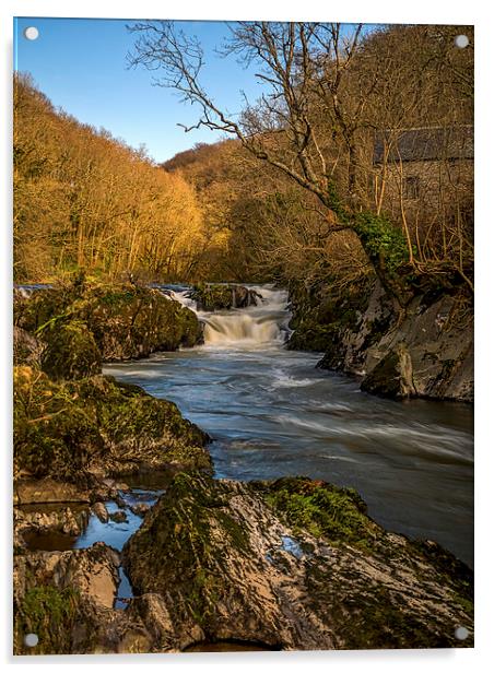 Cenarth Falls, Carmarthenshire, Wales, UK Acrylic by Mark Llewellyn