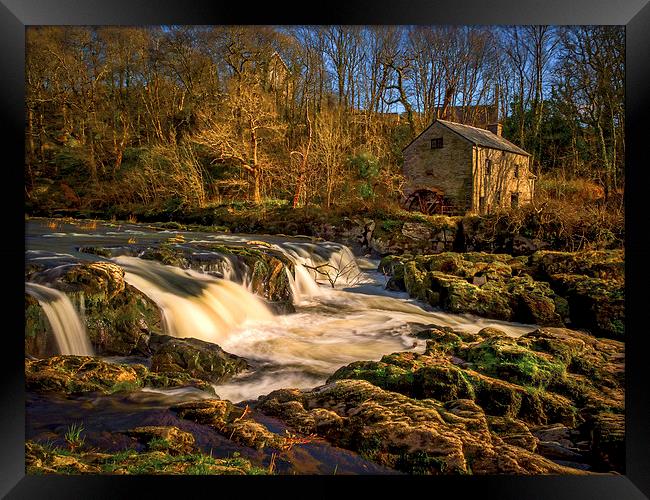 Cenarth Falls and Mill, Carmarthenshire, Wales, UK Framed Print by Mark Llewellyn