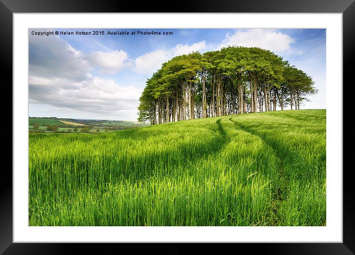 Copse of Trees on a Hill Framed Mounted Print by Helen Hotson