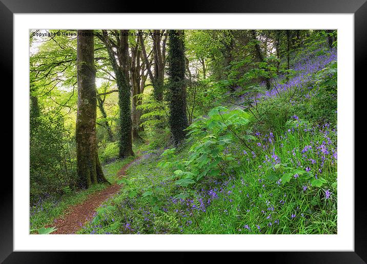 Woodland Path Framed Mounted Print by Helen Hotson