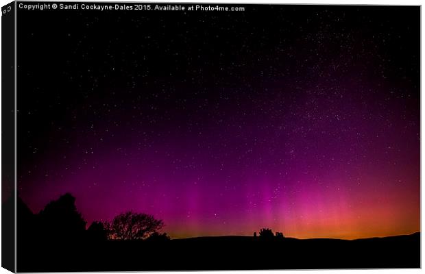  Northern Lights - Aurora Borealis Canvas Print by Sandi-Cockayne ADPS