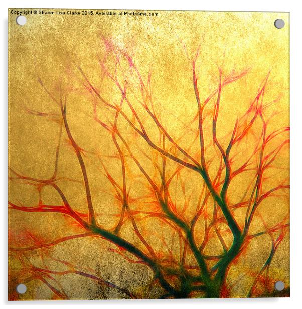  The Old Tree Acrylic by Sharon Lisa Clarke