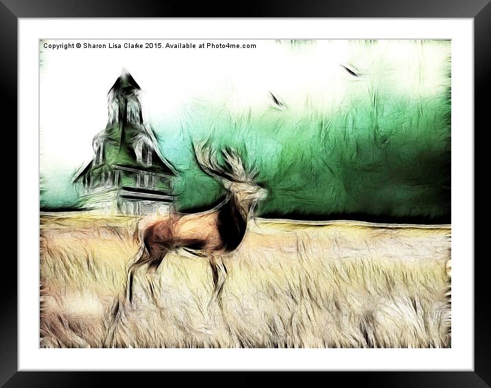 Lone  Elk Framed Mounted Print by Sharon Lisa Clarke