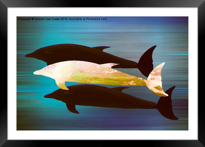  Dolphin Pod Framed Mounted Print by Sharon Lisa Clarke