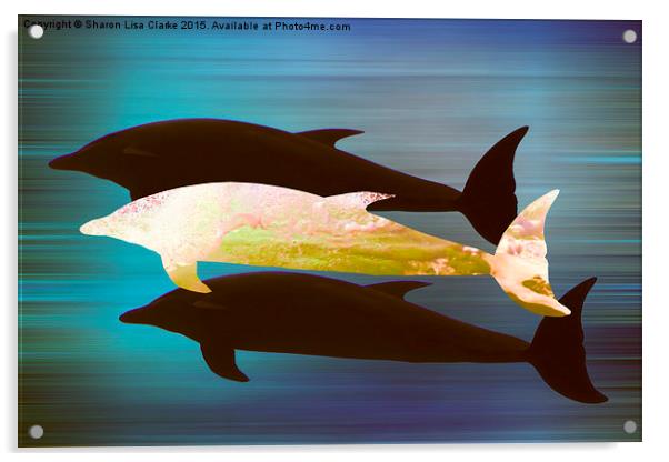  Dolphin Pod Acrylic by Sharon Lisa Clarke