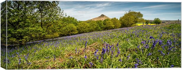 Roseberry Topping Bluebells Canvas Print by Dave Hudspeth Landscape Photography