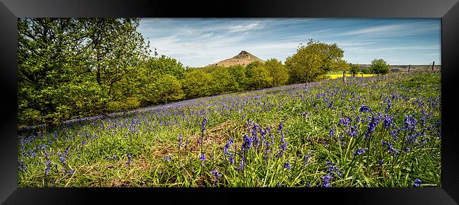 Roseberry Topping Bluebells Framed Print by Dave Hudspeth Landscape Photography