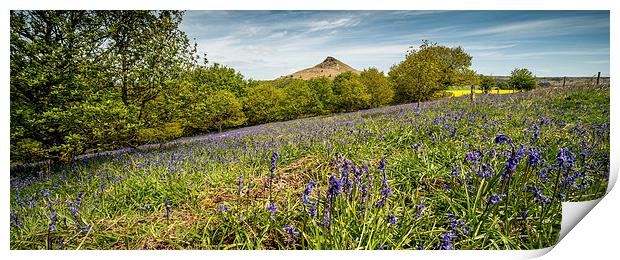 Roseberry Topping Bluebells Print by Dave Hudspeth Landscape Photography