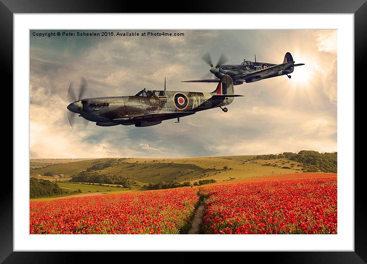  Spitfire over poppiefield Framed Mounted Print by Peter Scheelen