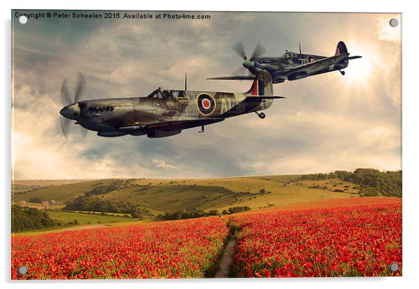  Spitfire over poppiefield Acrylic by Peter Scheelen