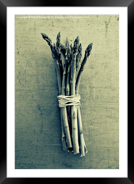  ASPARAGUS Framed Mounted Print by David Pacey