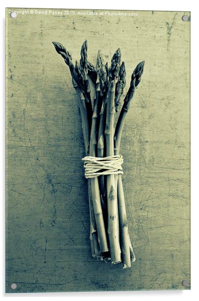 ASPARAGUS Acrylic by David Pacey