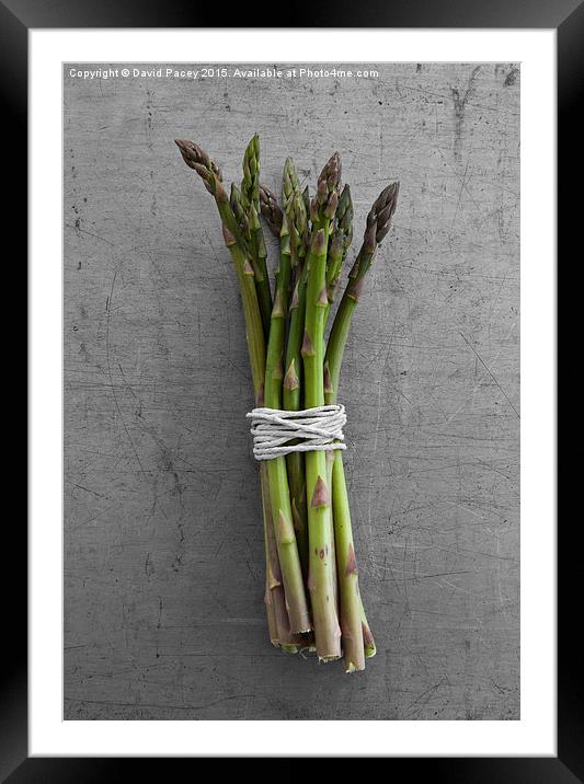  ASPARAGUS Framed Mounted Print by David Pacey