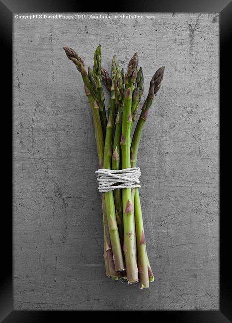  ASPARAGUS Framed Print by David Pacey