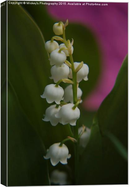 Lily Of The Valley Canvas Print by rawshutterbug 