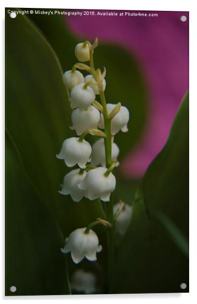 Lily Of The Valley Acrylic by rawshutterbug 