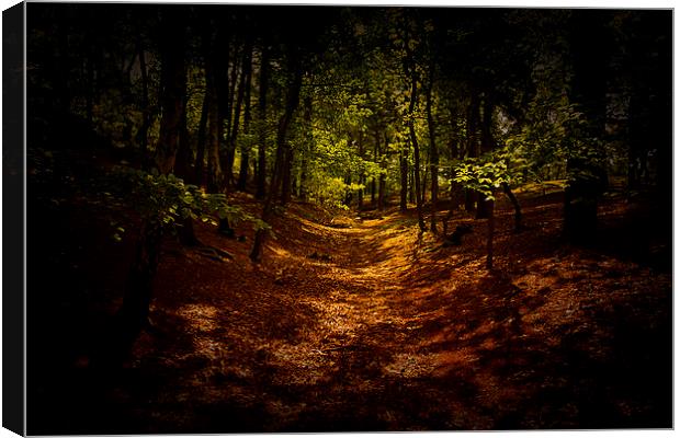  The woods are Dark Canvas Print by Dean Messenger