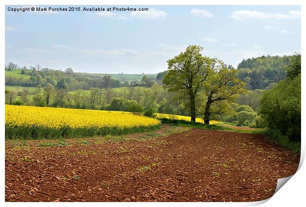 Cotswolds Landscape and Large Country House Print by Mark Purches