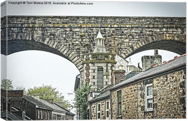 The Rooftops of Redruth  Canvas Print by Terri Waters