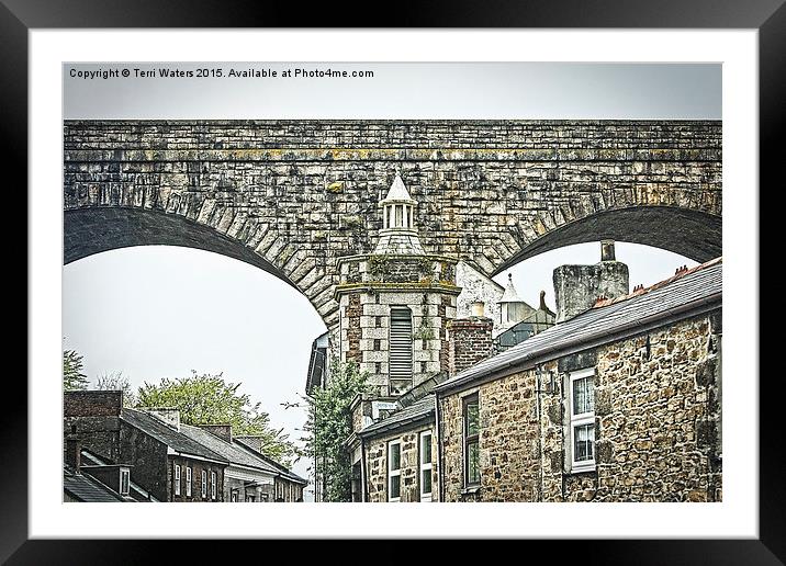The Rooftops of Redruth  Framed Mounted Print by Terri Waters