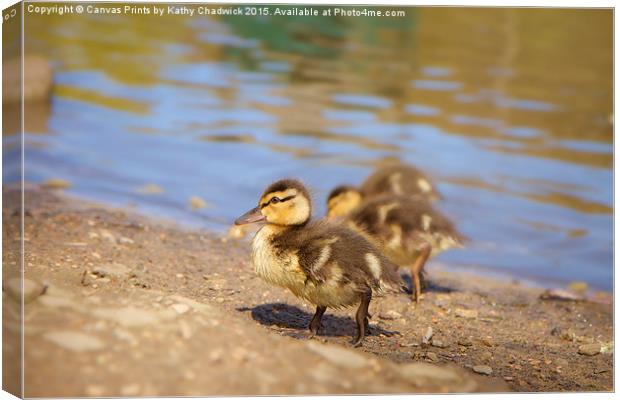  Cute Little Duckling Canvas Print by Canvas Prints by Kathy Chadwick