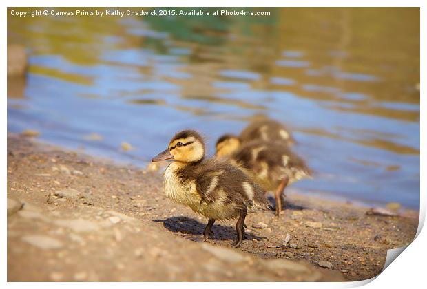  Cute Little Duckling Print by Canvas Prints by Kathy Chadwick