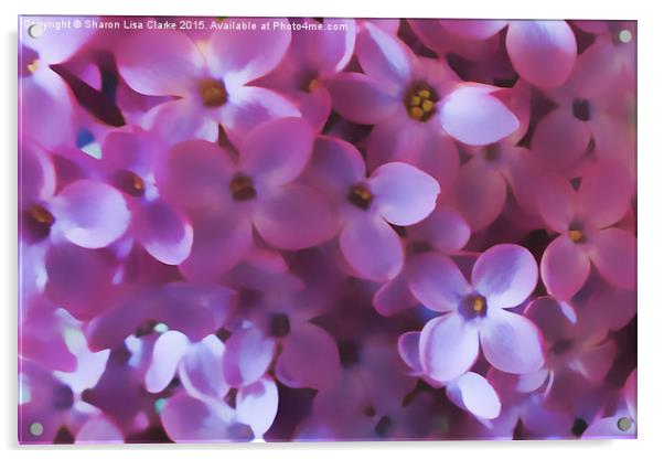  Lilac Blur Acrylic by Sharon Lisa Clarke