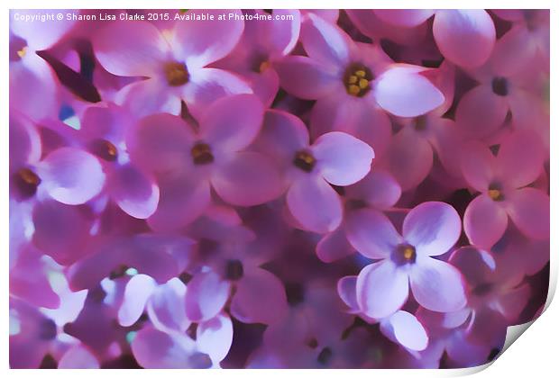  Lilac Blur Print by Sharon Lisa Clarke