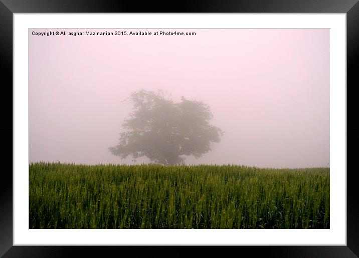  On a foggy day, Framed Mounted Print by Ali asghar Mazinanian