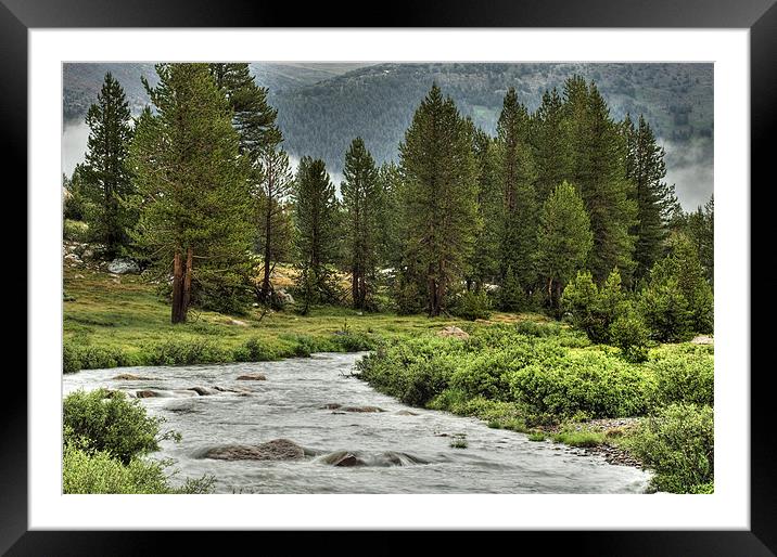 Yosemite National Park Framed Mounted Print by Josep M Peñalver