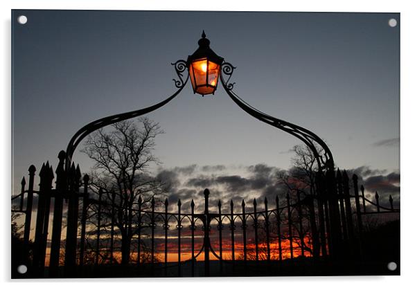 Bird Cage Gate Glow Acrylic by mark blower