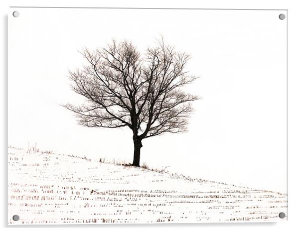 Winter Acrylic by Mary Lane