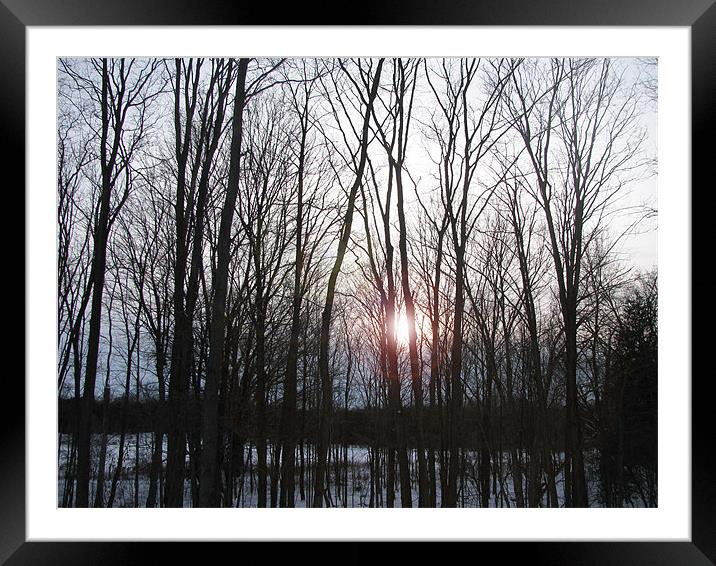 Winter Sunset Framed Mounted Print by Mary Lane