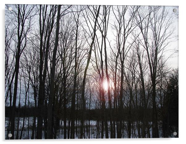 Winter Sunset Acrylic by Mary Lane