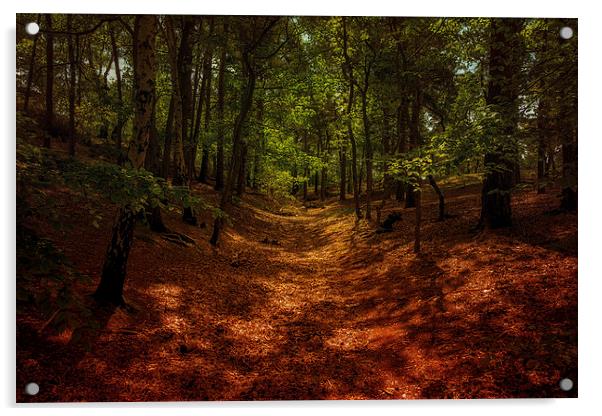  woodland walk Acrylic by Dean Messenger