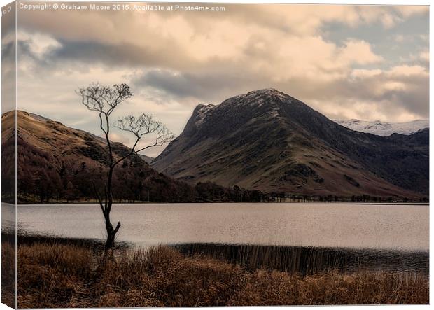 The tree, Buttermere Canvas Print by Graham Moore
