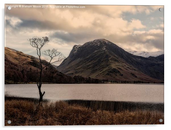 The tree, Buttermere Acrylic by Graham Moore