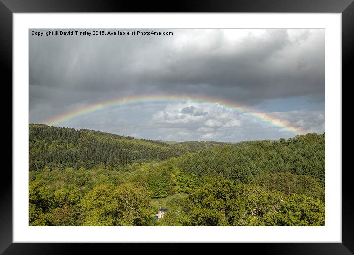  Forest Rainbow Framed Mounted Print by David Tinsley
