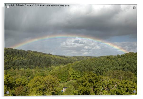  Forest Rainbow Acrylic by David Tinsley