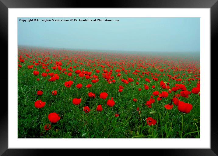   All tulips, Framed Mounted Print by Ali asghar Mazinanian