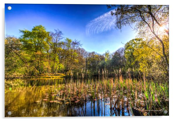 The Bulrush Pond Acrylic by David Pyatt