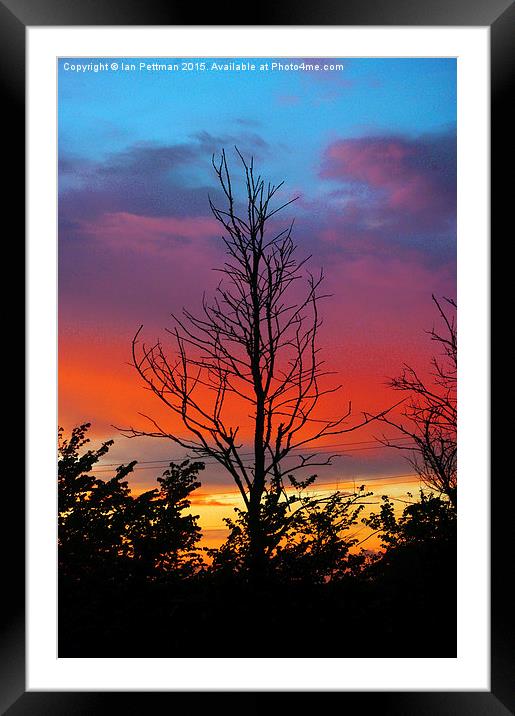  Sunset and Sillouettes  Framed Mounted Print by Ian Pettman