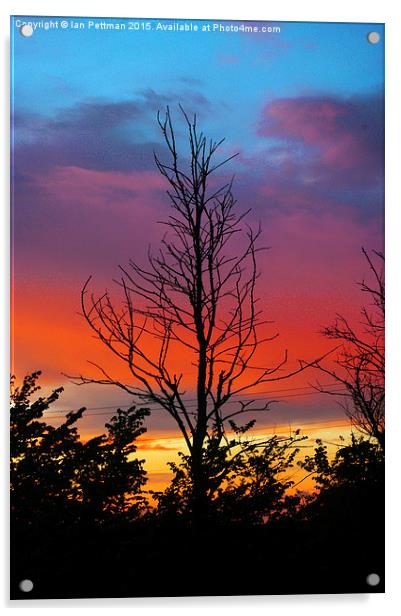  Sunset and Sillouettes  Acrylic by Ian Pettman