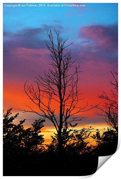  Sunset and Sillouettes  Print by Ian Pettman