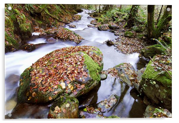 wild mountain river Acrylic by Josep M Peñalver