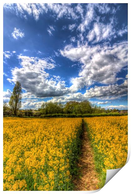 The Farm Footpath Print by David Pyatt