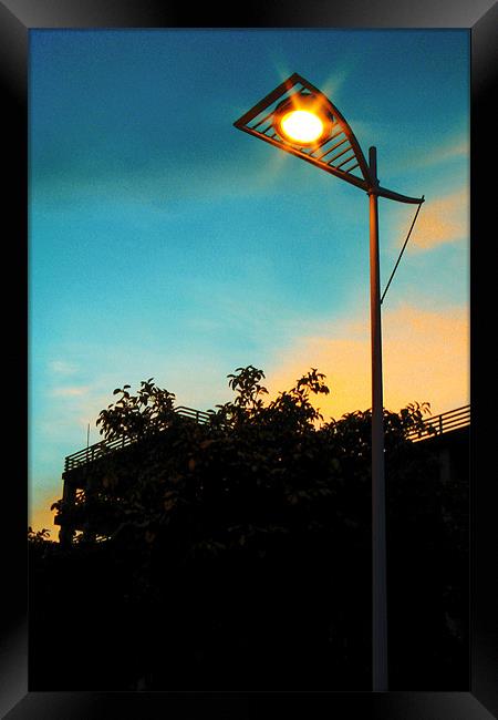 The Lonely Street Lamp Framed Print by Kimi Johnnason