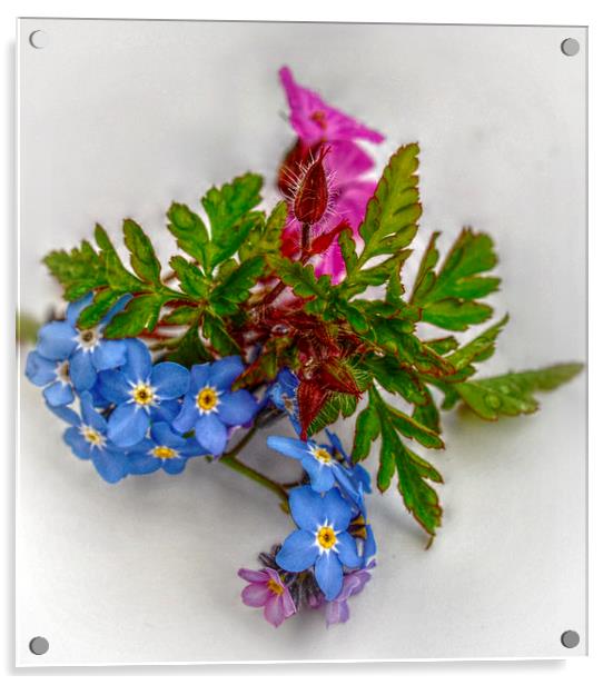  tiny bouquet Acrylic by sue davies