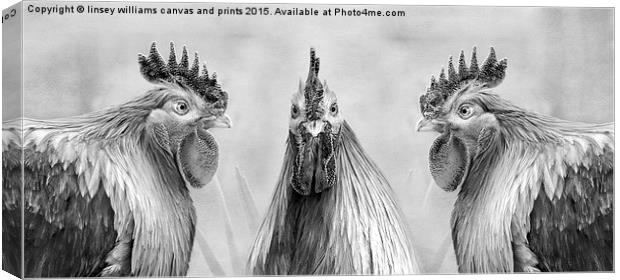 Hens, GULP!! Mono Canvas Print by Linsey Williams